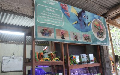 Kolaborasi Mahasiswa Sasindo Undip dan Tim KKN-T: Storytelling Marketing Jadi Jurus Jitu UMKM Anto Aquarium & Art  Tembus Pasar Digital